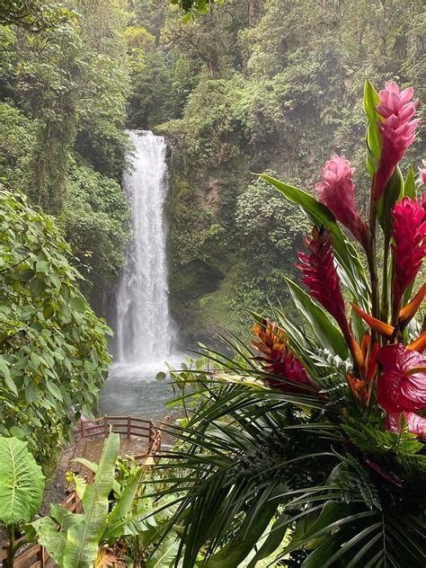 Facebook in 2025 | Costa rica pictures, Costa rica travel, Costa rica ...