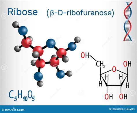 Ribose Molecular Structure Isolated On Black Stock Illustration | CartoonDealer.com #92006344