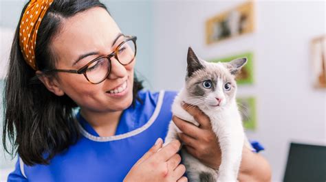 Vet Tech Course 的图像结果