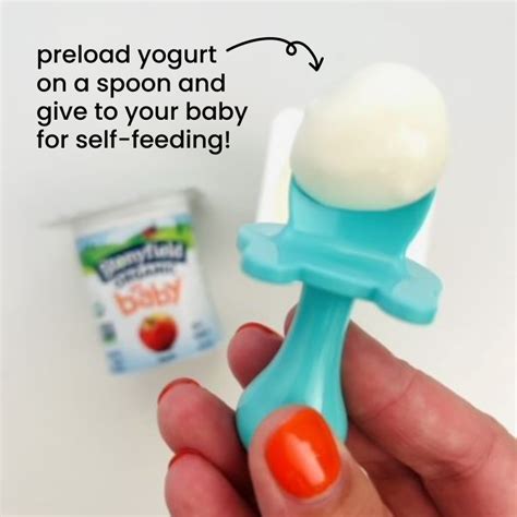 What Yogurt Can Babies Eat at James Marts blog