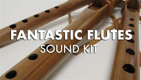 Image result for Orchestral Sample Library