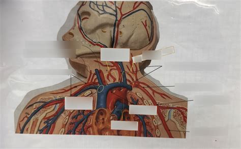 Structural Model of a Flat Structure 的图像结果