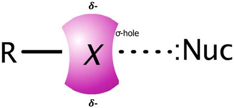 Theoretical Description of R–X⋯NH3 Halogen Bond Complexes: Effect of ...