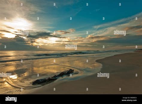 PowerPoint Tutorials for Design 的图像结果