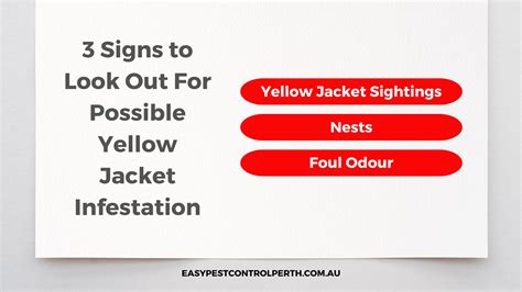 Yellow Jacket Control - Easy Pest Control