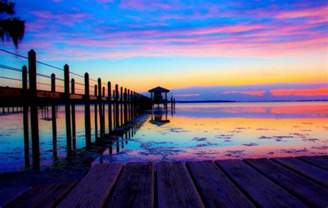 Image result for Flutter Color Code Hex