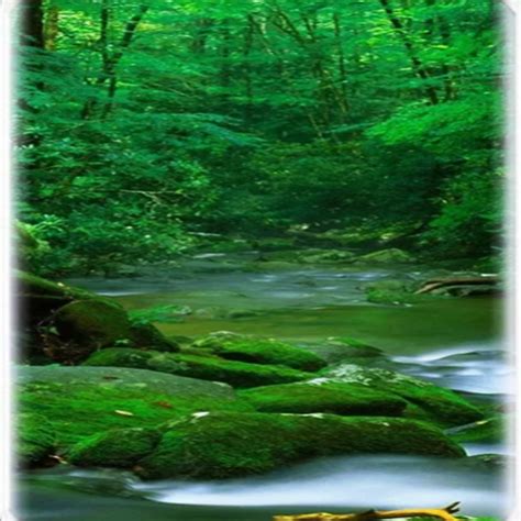 Nature Collection 4K Wallpapers HD - App on Amazon Appstore