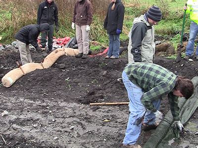 Image result for ABC Cescl Course