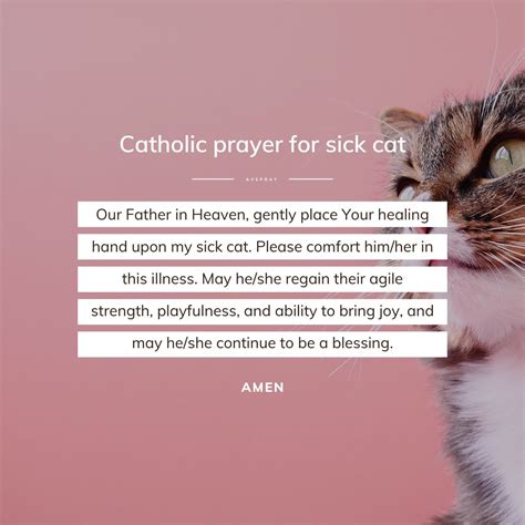 Sick Kitty