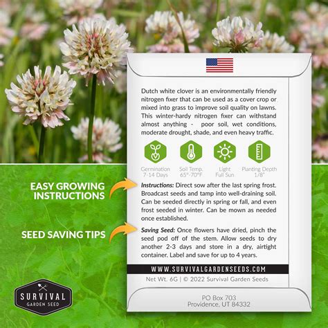Dutch White Clover Seed for Planting - SurvivalGardenSeeds