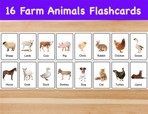 Buy 16 Farm Animals Flashcards / Image Cards for Kids, Preschoolers ...