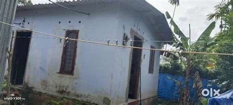 House for sale - For Sale: Houses & Apartments - 1816320816