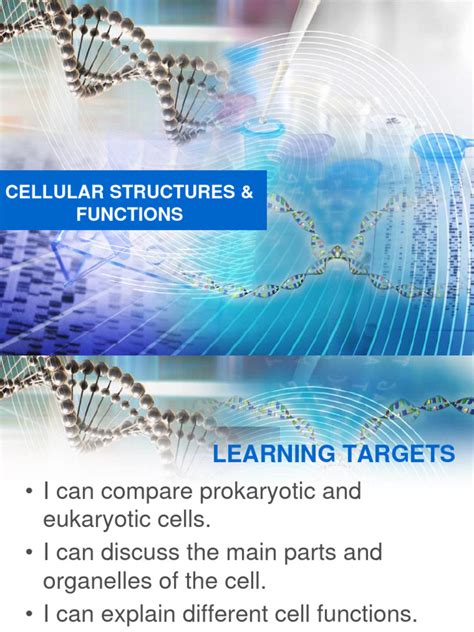 Image result for Cellular Structure and Function