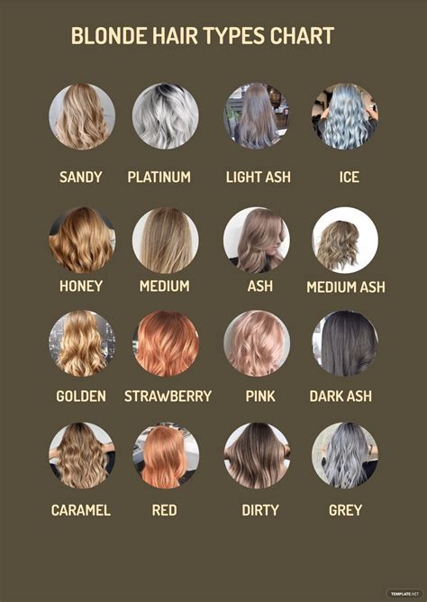 Blonde Hair Types Chart in PDF, Illustrator - Download | Template.net ...