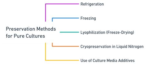 Preservation Methods for Pure Cultures: Refrigeration | Freezing ...