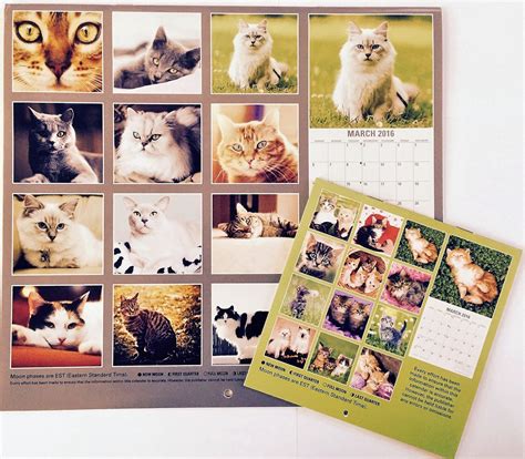 Spotted Cat Calendar