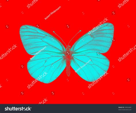 Image result for Alien Resurrection Butterfly