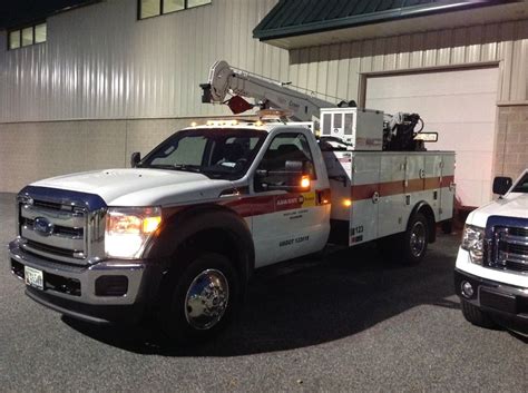 Alban Cat Office Photos