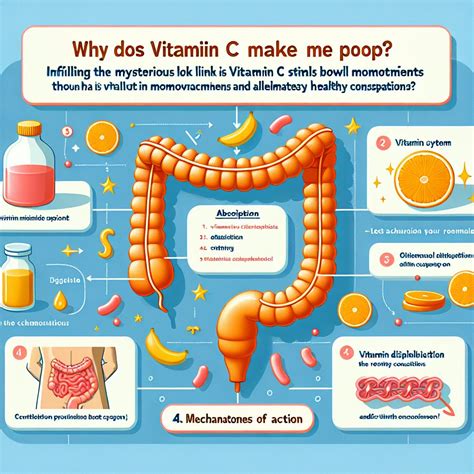 The Best Vitamin For Regular Bowel Movements: A Simple Guide