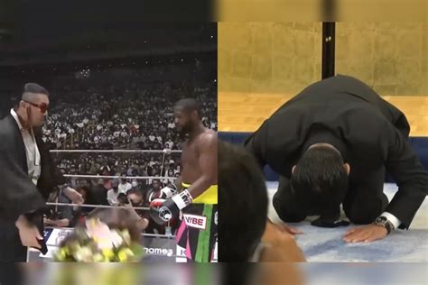 日本政客扔花羞辱美国前拳王，赛事总裁下跪道歉：这个人品行太低劣了_美国_赛事_品行