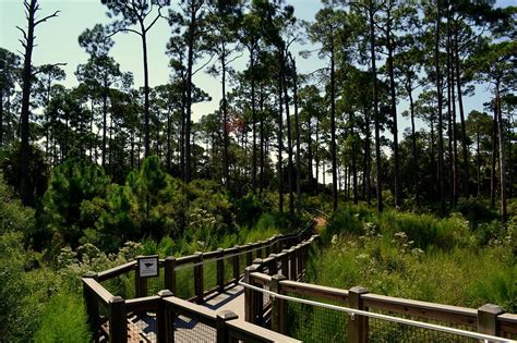St. Marks National Wildlife Refuge | Big Bend Scenic Byway