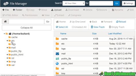 cPanel File Manager 的图像结果