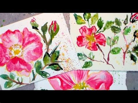 How to paint beach roses in watercolor {easy tutorial!} Video Lecture ...