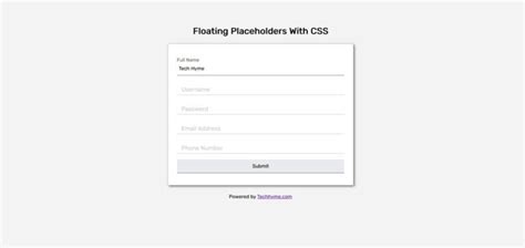 [Demo] Floating Placeholder With CSS - HTML/CSS Tutorial - Tech Hyme