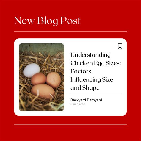 Understanding Chicken Egg Sizes: Factors Influencing Size and Shape ...