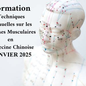 Techniques manuelles sur les chaines musculaires en MTC, 39 Rue Gabriel ...