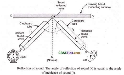 Image result for Sound Reflection Example