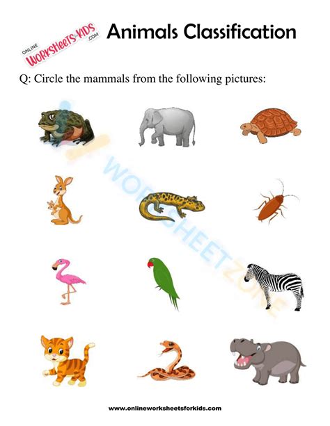 Animal Classification Worksheet 的图像结果