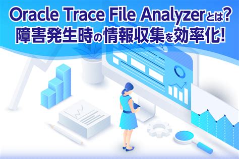 Oracle SQL Trace Analyzer 的图像结果