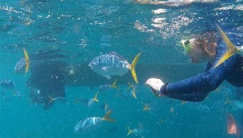 Snorkeling In Andaman 2025: A Guide For Best Spots For Snorkeling!