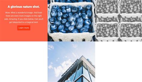 JavaScript Image Gallery 的图像结果