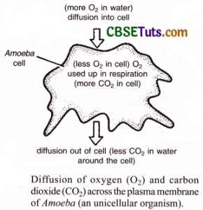 Image result for Diffusion Process Animation