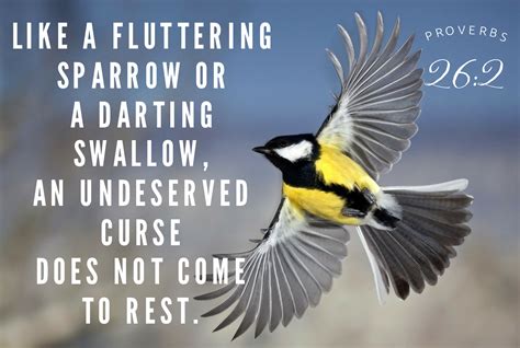 a bird flying through the air with a quote above it that reads, like a ...