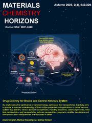 Issues List Page | MCH