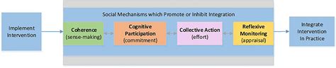 Normalization Process Theory Visual Model 的图像结果