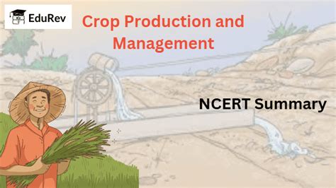 Crop Production and Management Summary Class 8 NCERT Summary