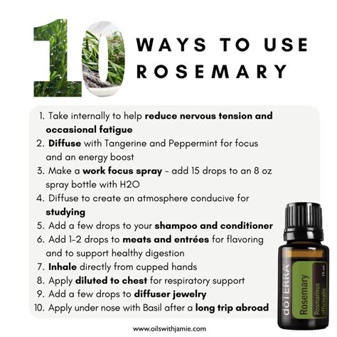 Top 5 ways to use rosemary essential oil – Artofit