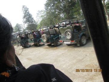 Pleasurable 3 Days 2 Nights Kaziranga National Park Trip Package ...