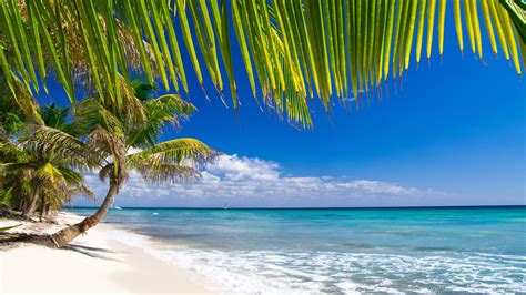 Image result for Beach Python Code