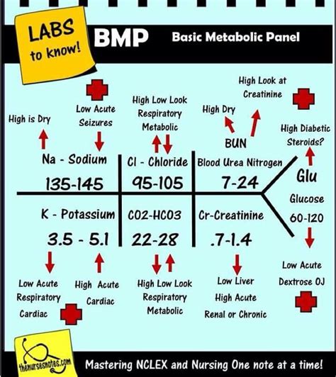 Image result for BMP Lab Values
