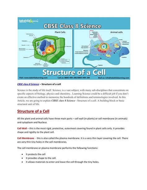 Image result for Class 8 Science Cell Structure and Function