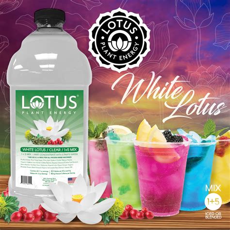 Lotus Energy Drinks | White Lotus Plant Energy Concentrate — SCA Best ...