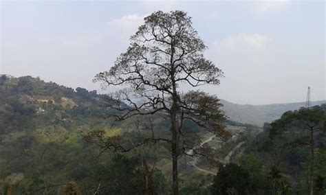Ntanki National Park, Peren, NL