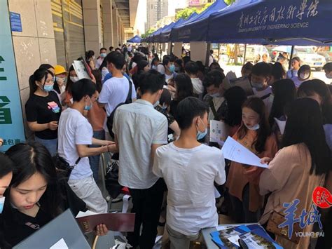 广州近百家企业赴毕节开展招聘，提供7000个岗位