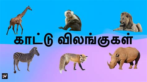 Image result for Public Main Java
