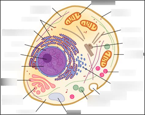 Image result for Cell Annotation